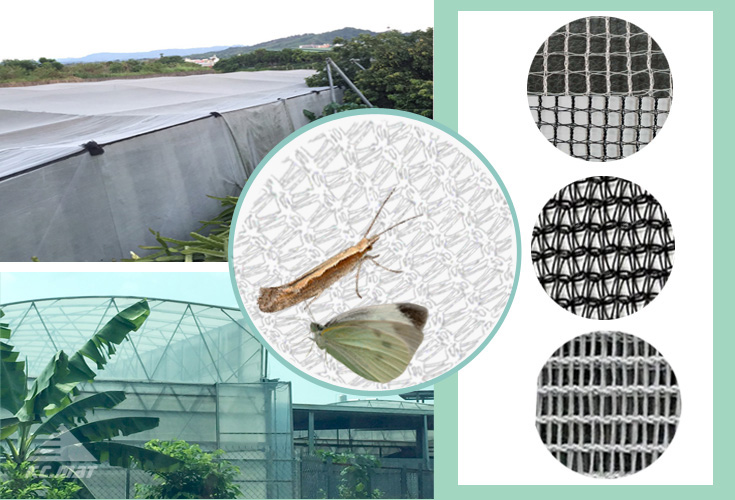 Insect Proof Net Successful Mat, AntiInsect Mesh Supplier